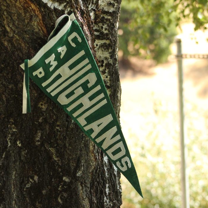 Green Camp Highlands felt pennant hanging on the bark of a tree at camp